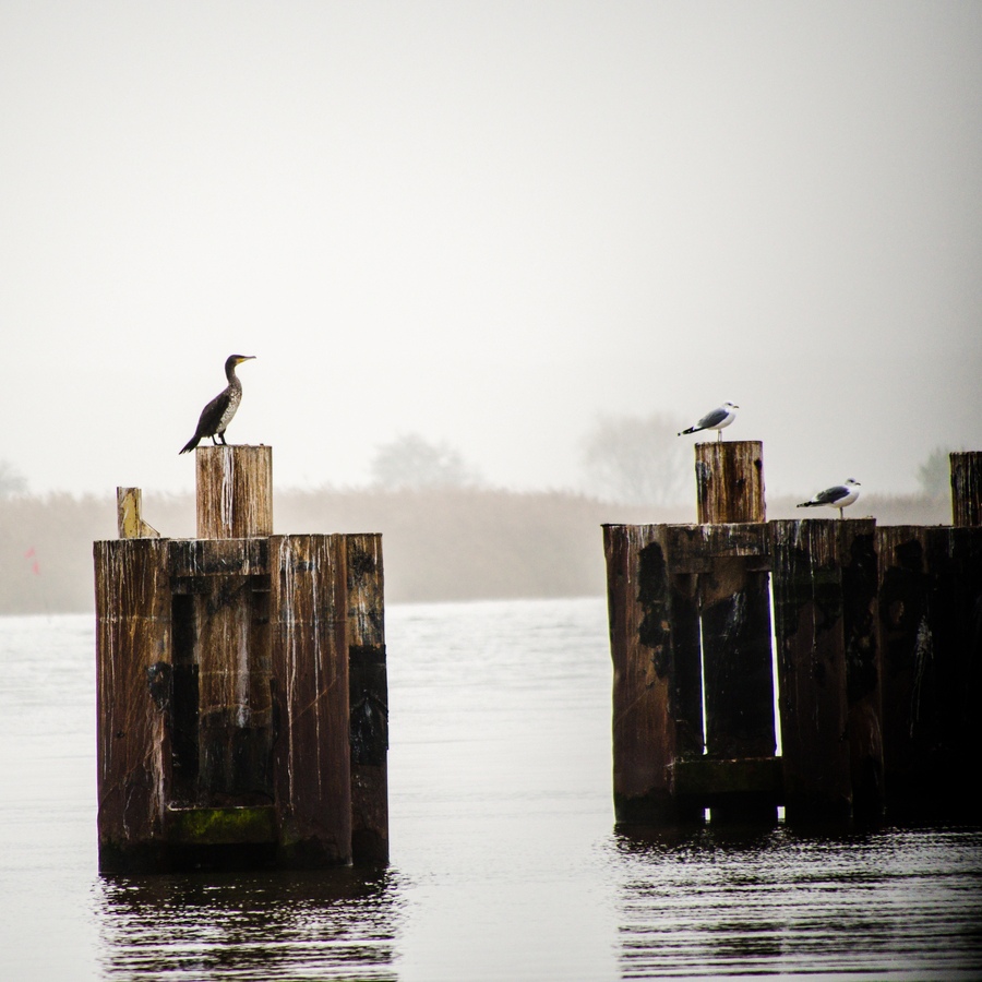 20121116 5613 [E M5] 300 mm,1 200 Sek. bei ƒ   5,6