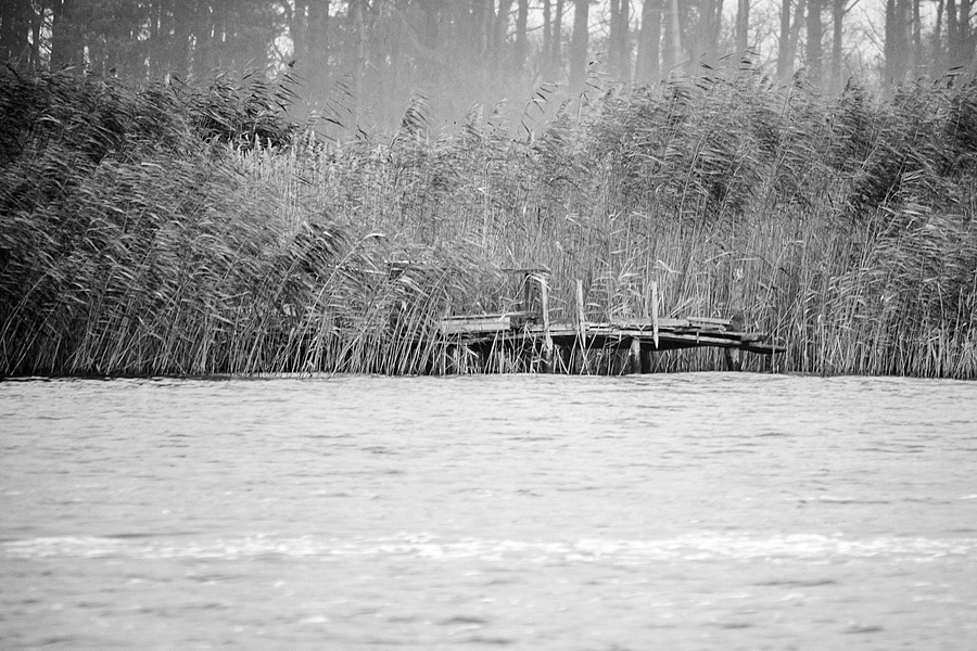 20121116 5634 [E M5] 300 mm,1 125 Sek. bei ƒ   5,6 Bearbeitet