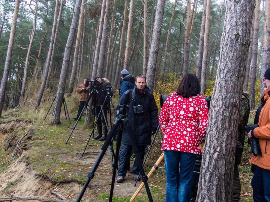 20121116 5756 [E M5] 20 mm,1 25 Sek. bei ƒ   4,5