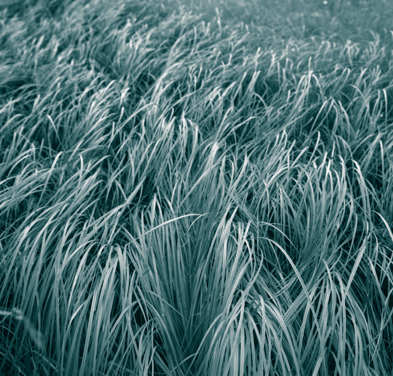 20121118 image001