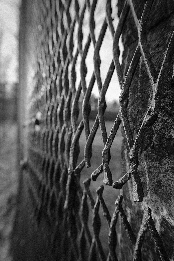 20121122 DSC 0943 Bearbeitet