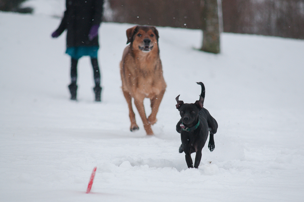 20121130 1775034 1