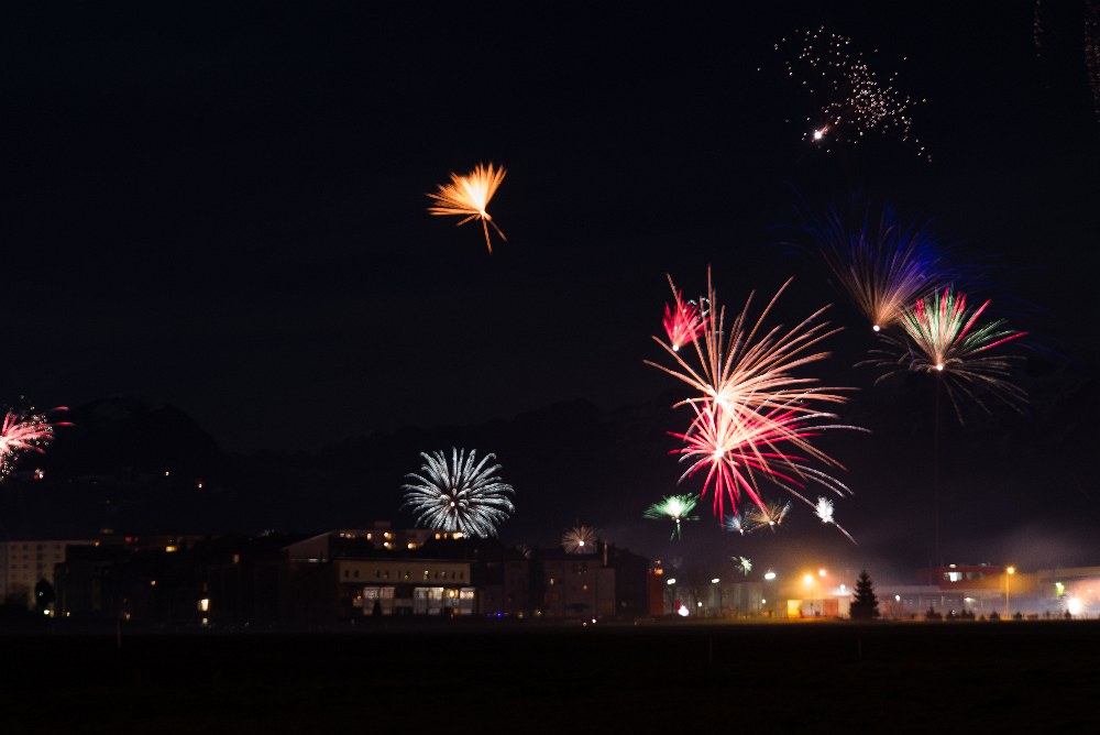 20121231 DSC 3988