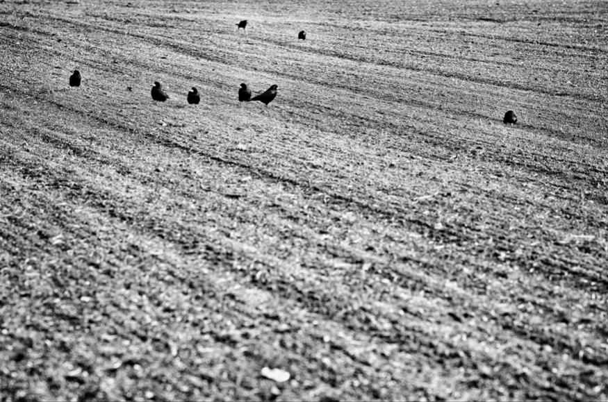 2013 02 03T15 05 12 0 sm