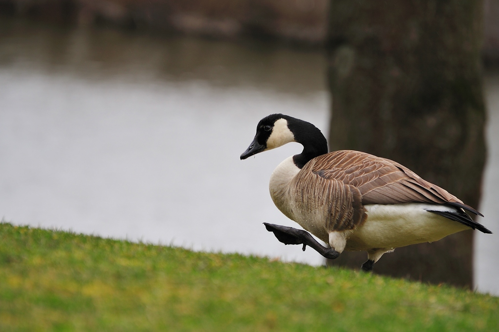 2013 04 10 0066 D 3S A