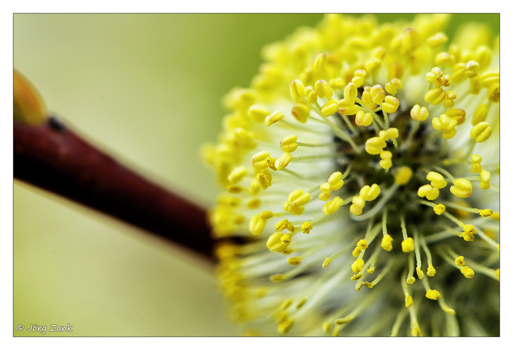 2013 04 21 DSC 7435 w
