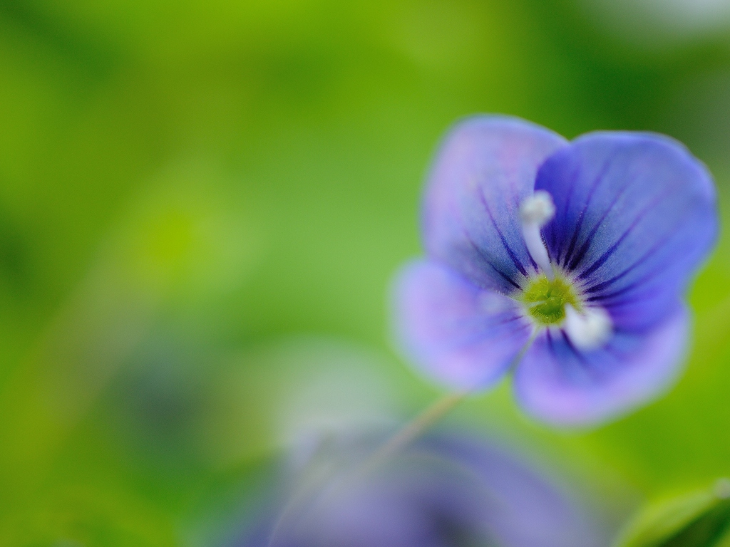 2013 04 29 5593 D 300S A
