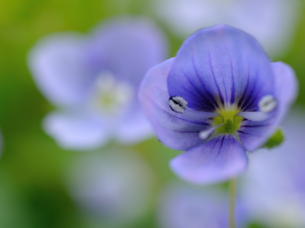 2013 04 29 5601 D 300S A