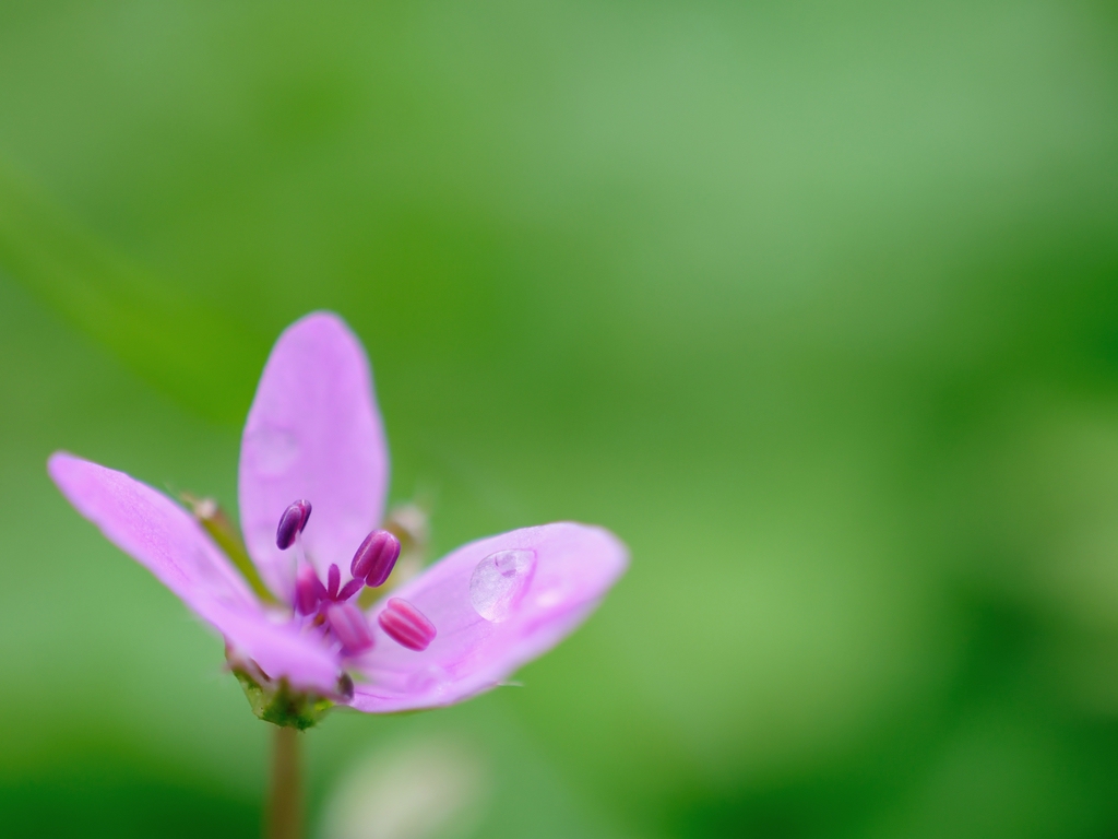 2013 04 30 5691.2 D 300S A entrauscht