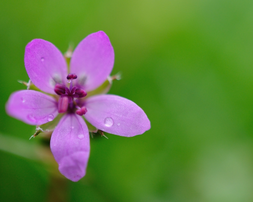 2013 04 30 5697 D 300S A