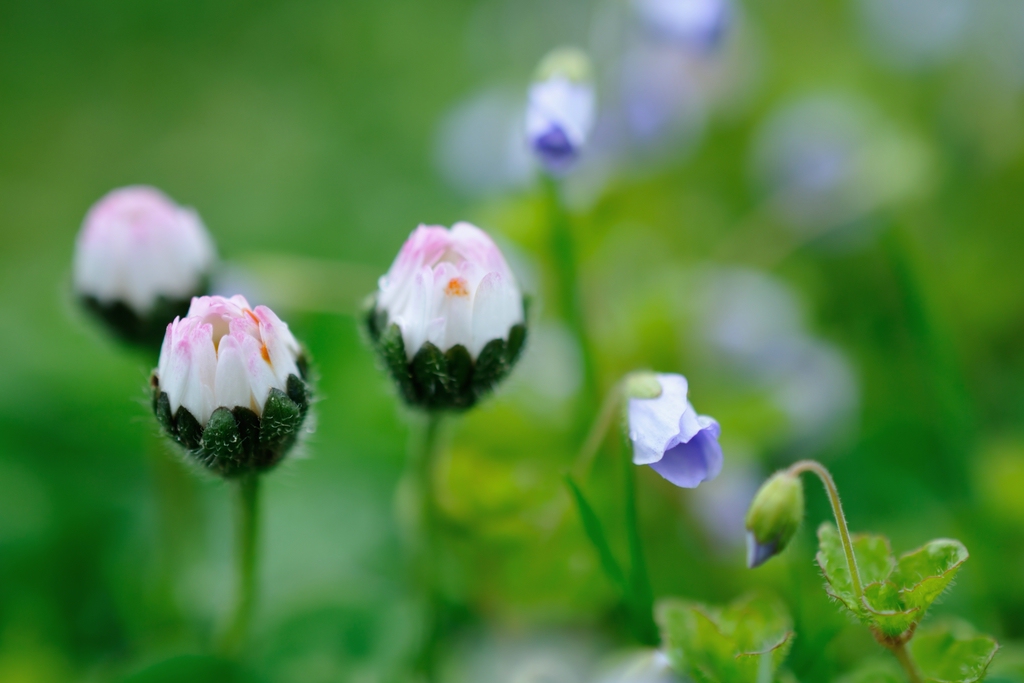 2013 04 30 5727 D 300S A