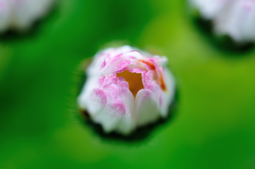 2013 04 30 5739 D 300S A