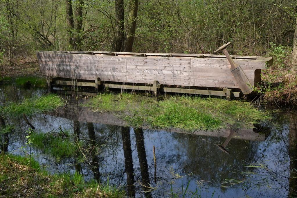 2013 05 04 Steinhuder Meer (38)