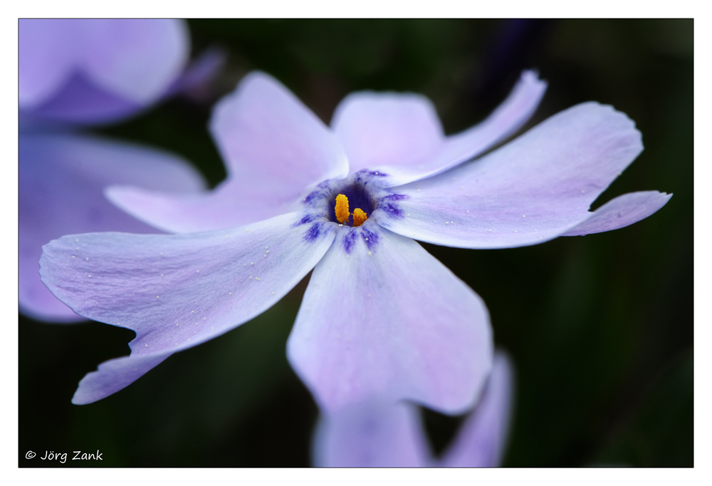 2013 05 05 DSC 7603 w