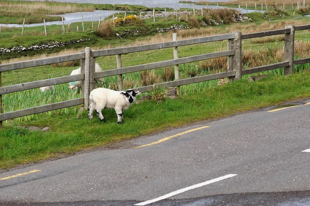 2013 05 09 3600 D 3S A