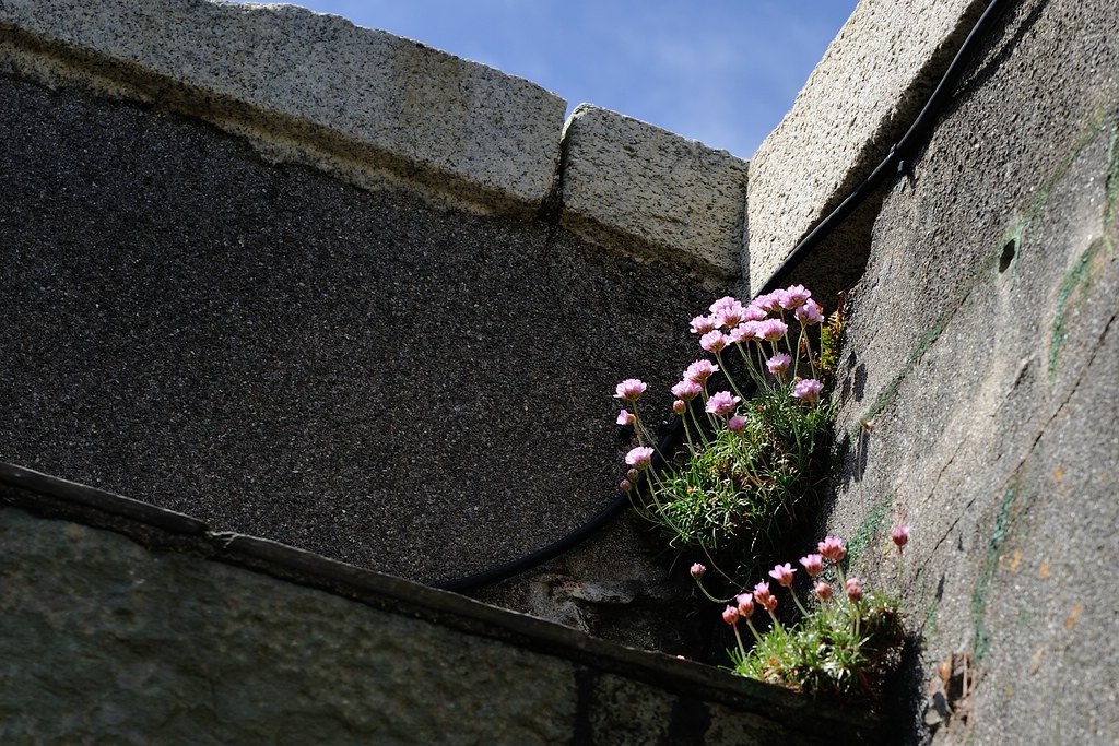 2013 05 10 4042 D 3S A