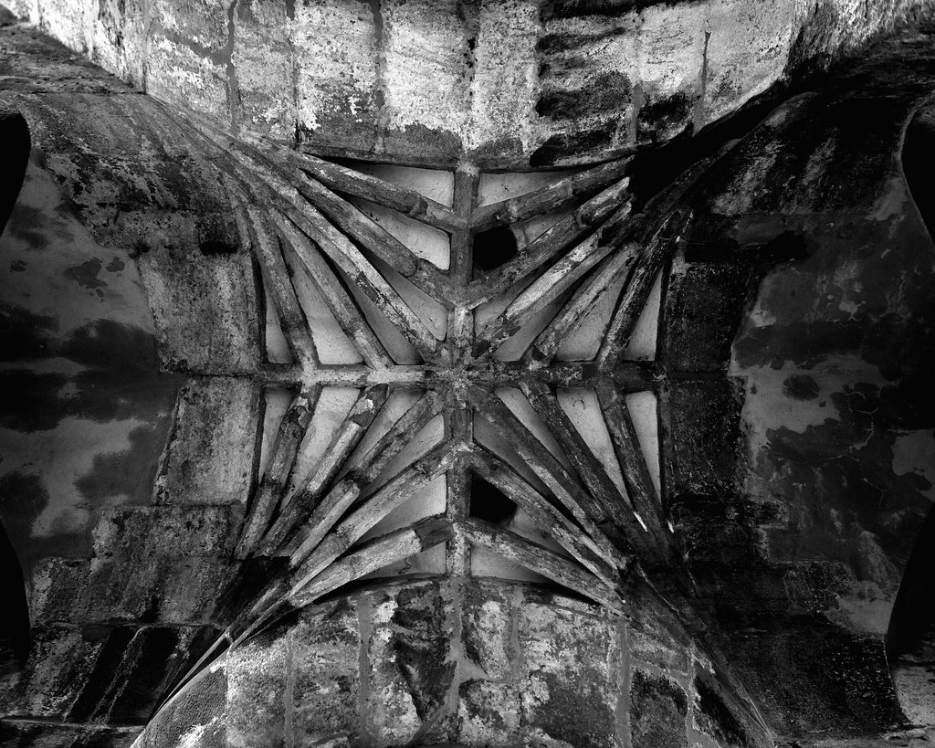 2013 05 12 5136 bw D 3S A