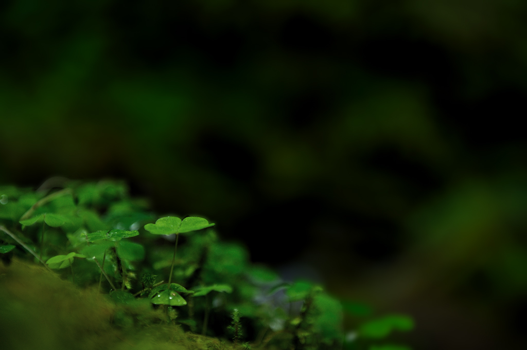 2013 05 12 5386 D 3S A