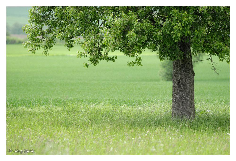 2013 05 18 DSC 7676 w