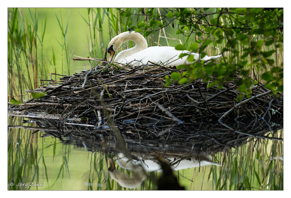 2013 05 18 DSC 7714 w