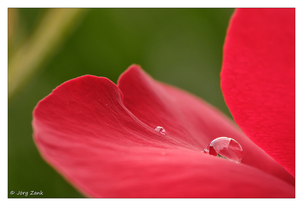 2013 06 23 DSC 8336 w