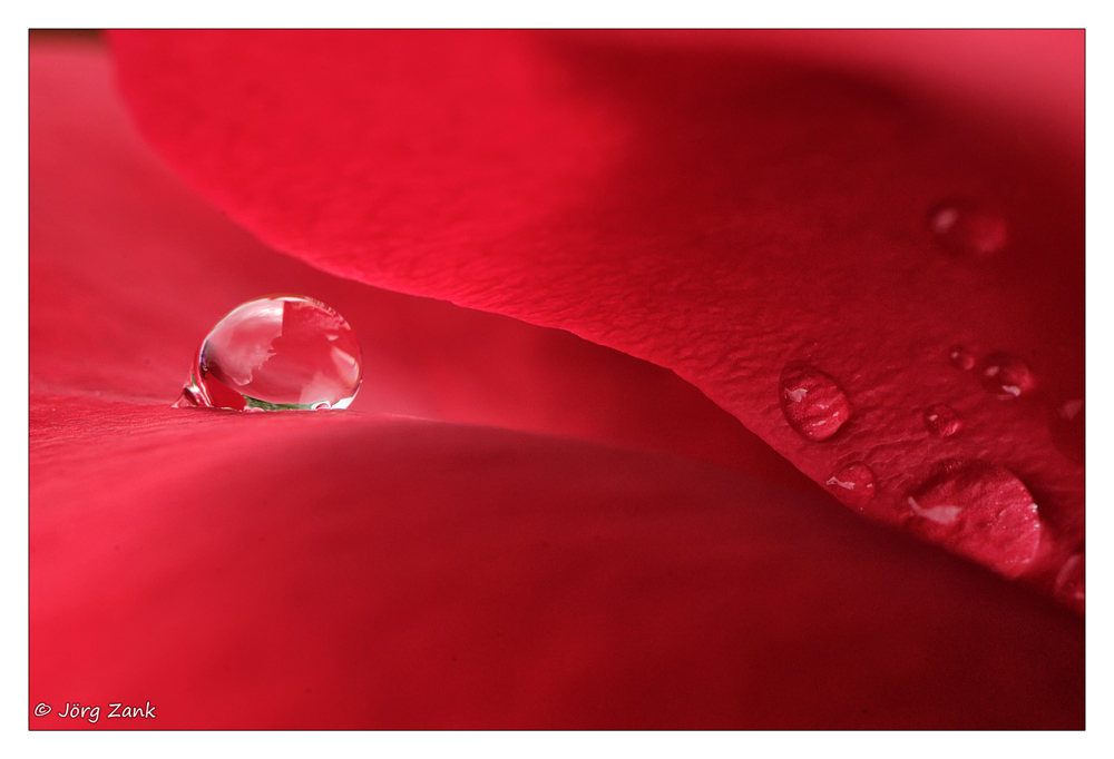 2013 06 23 DSC 8345 w