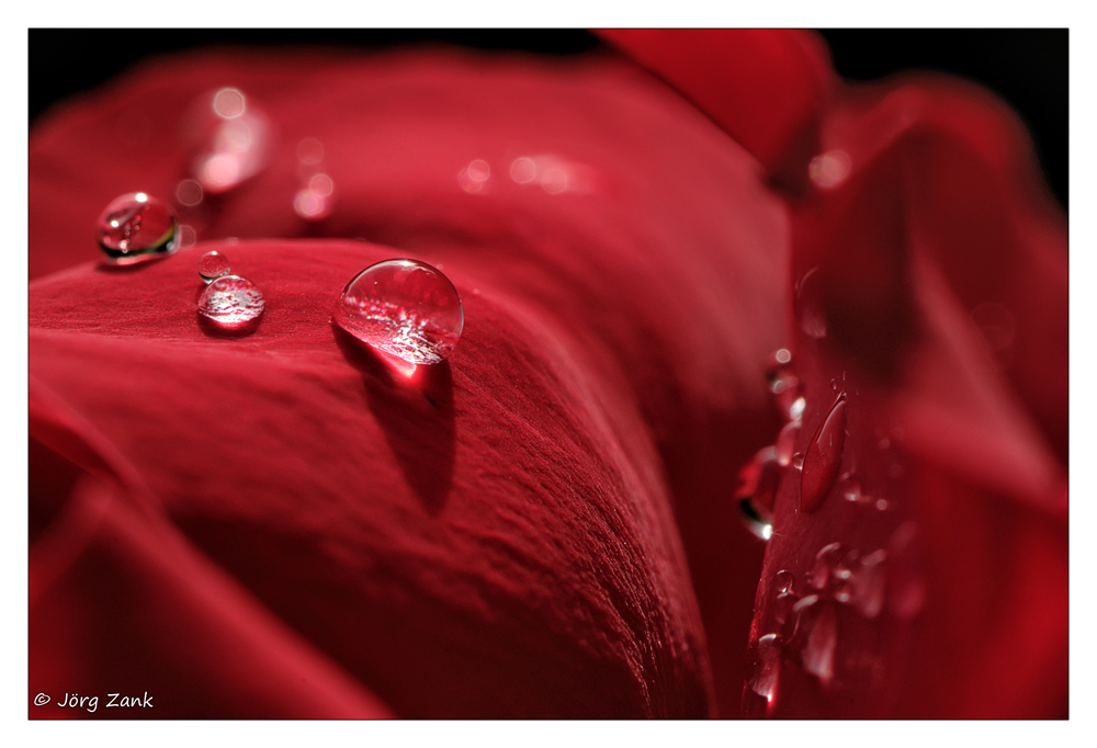 2013 06 23 DSC 8350 uncut w