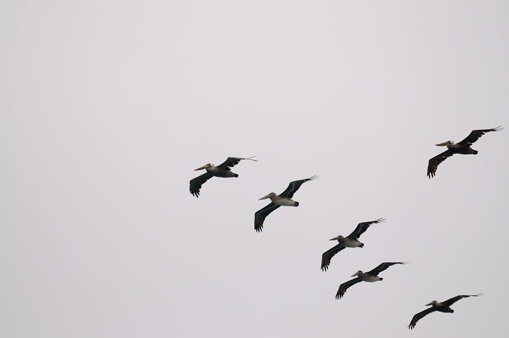 2013 07 31 09 42 51 D30 8684