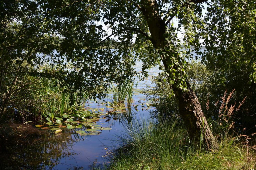 2013 09 05 Steinhuder Meer (1061)