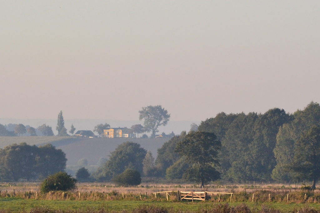 2013 10 02 Steinhuder Meer (1320)