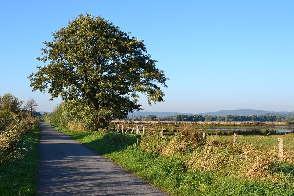 2013 10 02 Steinhuder Meer (1363)