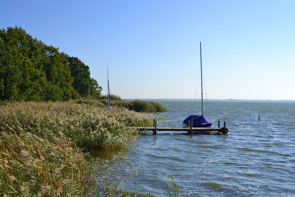 2013 10 02 Steinhuder Meer (1494)