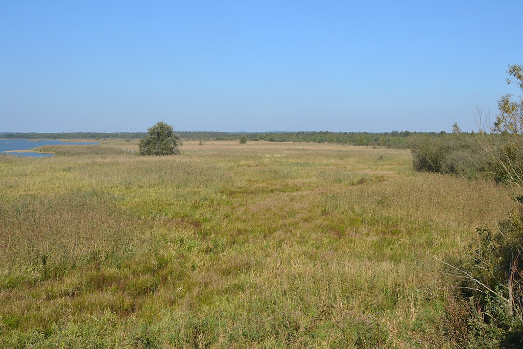 2013 10 02 Steinhuder Meer (1549)