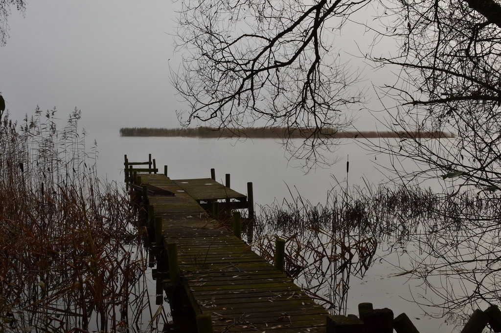 2013 11 21 Steinhuder Meer (1931)