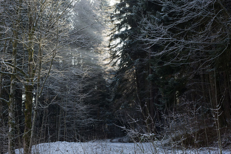 20130113 0004 Stille