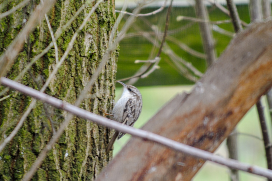 20130217 3768 [NIKON 1 V1] 200 mm,1 80 Sek. bei ƒ   3,2