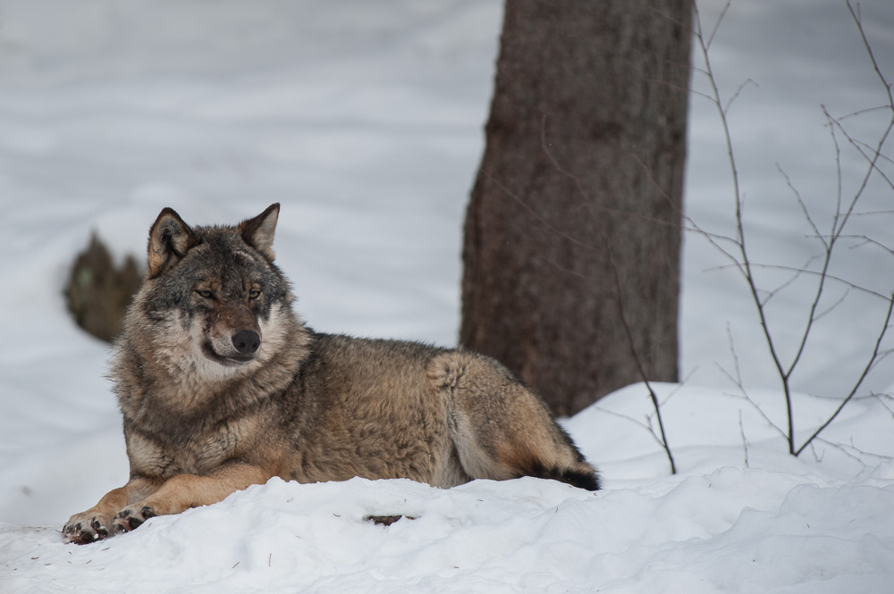 20130222 DSC 5435