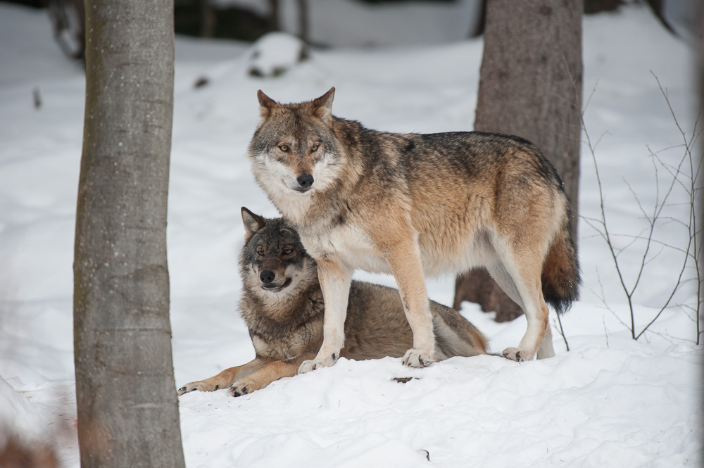 20130222 DSC 5463