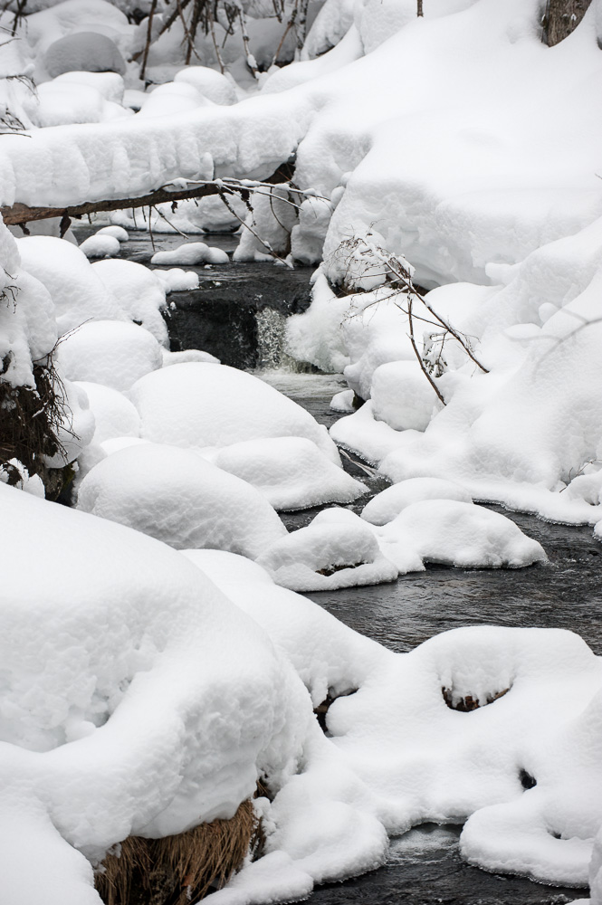 20130224 DSC 5529