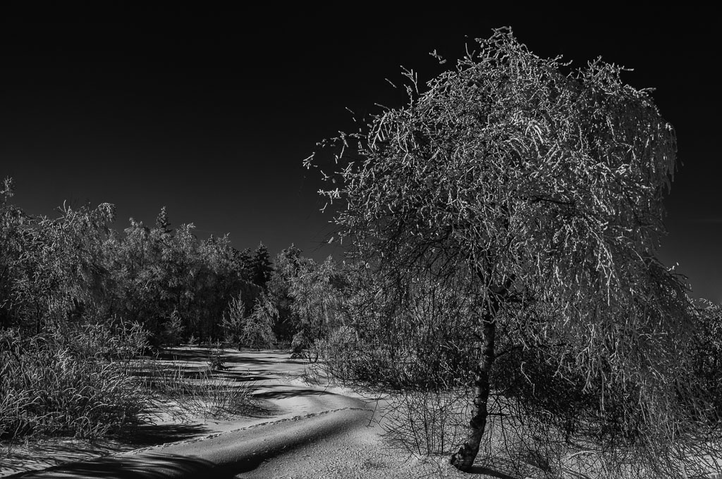20130302 012 SW 2