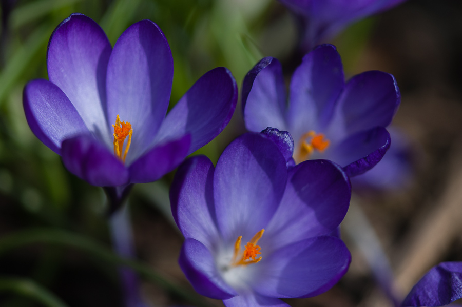 20130324 155643