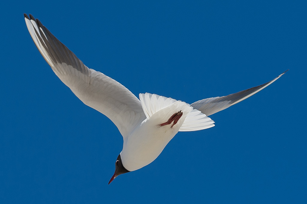 20130326 ND4 1528