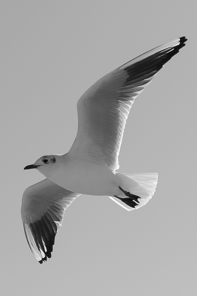 20130326 ND4 1537