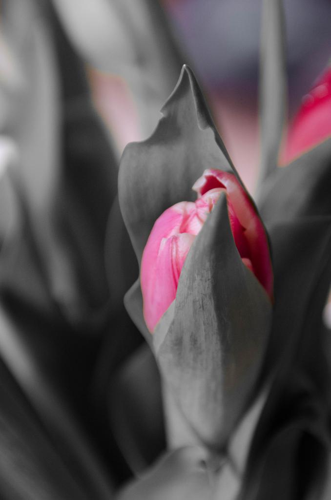 20130504 DSC 0175