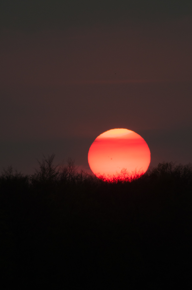 20130504  DSC4334
Sonnenuntergang im Frühjahr, mich haben die Sonnenflecken begeistert