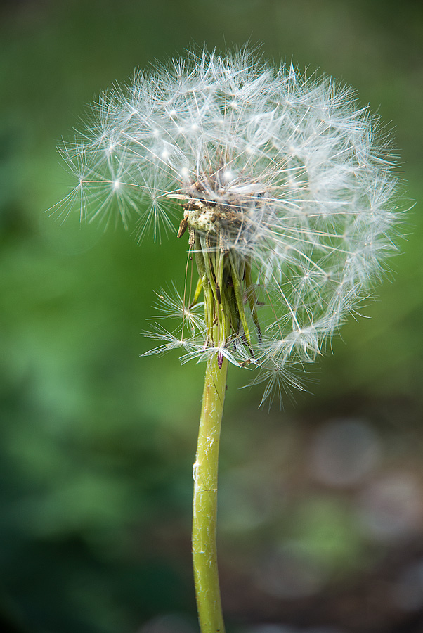 20130509 DSC 1529 Bearbeitet