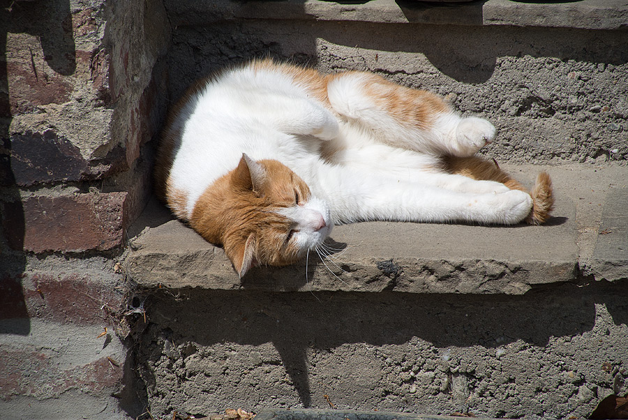 20130509 DSC 1537 Bearbeitet
