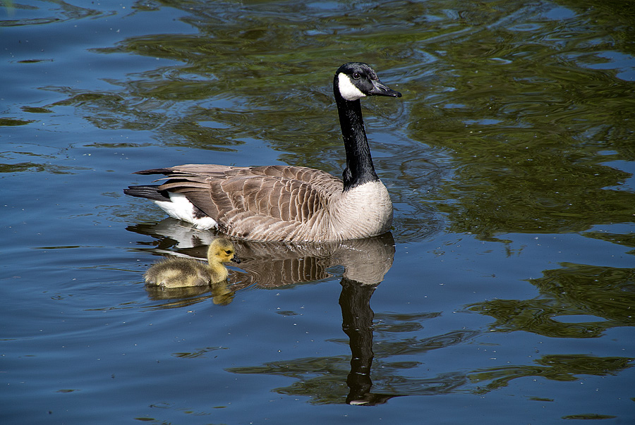 20130509 DSC 1562 Bearbeitet