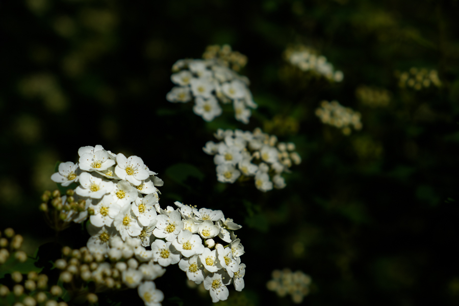 20130512 163039