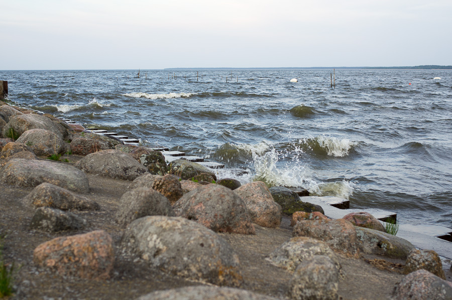 20130516 DSC00818